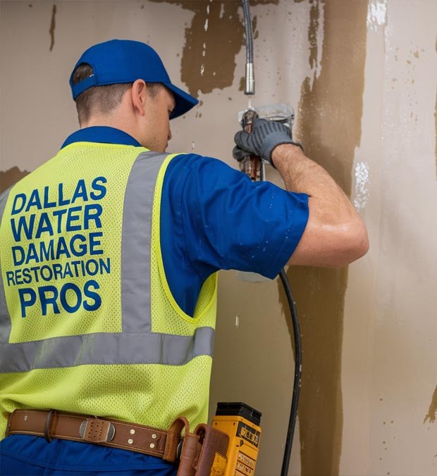 Dallas Mold Remediation